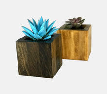 Load image into Gallery viewer, Succulent Planter by CW Furniture Choose Finish Wood Plant Box Geometric Cube Small Indoor Pot Catus Cacti Handmade Solid Hardwood Poplar