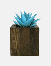 Load image into Gallery viewer, Succulent Planter by CW Furniture Choose Finish Wood Plant Box Geometric Cube Small Indoor Pot Catus Cacti Handmade Solid Hardwood Poplar