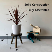 Load image into Gallery viewer, Modern Plant Stand Three Leg Stool Choose Finish by CW Furniture Wood Indoor Flower Pot Base Display Holder Solid Wooden Kids Chair Table Minimalist