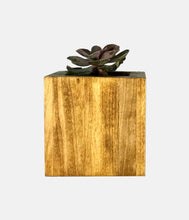 Load image into Gallery viewer, Succulent Planter by CW Furniture Choose Finish Wood Plant Box Geometric Cube Small Indoor Pot Catus Cacti Handmade Solid Hardwood Poplar