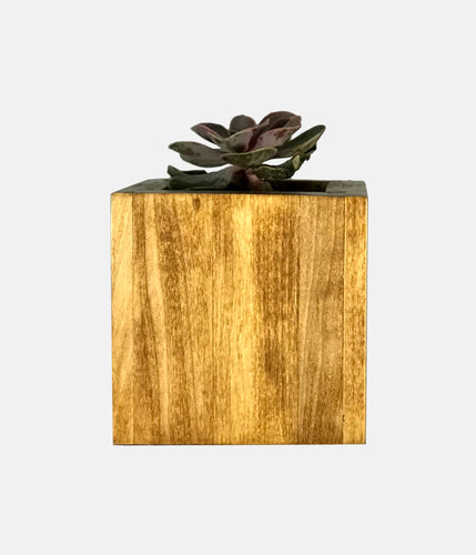 Succulent Planter by CW Furniture Choose Finish Wood Plant Box Geometric Cube Small Indoor Pot Catus Cacti Handmade Solid Hardwood Poplar