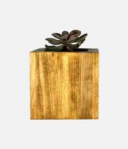 Succulent Planter by CW Furniture Choose Finish Wood Plant Box Geometric Cube Small Indoor Pot Catus Cacti Handmade Solid Hardwood Poplar