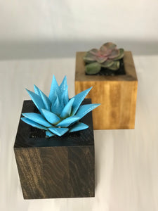 Succulent Planter by CW Furniture Choose Finish Wood Plant Box Geometric Cube Small Indoor Pot Catus Cacti Handmade Solid Hardwood Poplar