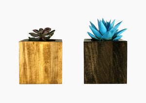 Succulent Planter by CW Furniture Choose Finish Wood Plant Box Geometric Cube Small Indoor Pot Catus Cacti Handmade Solid Hardwood Poplar