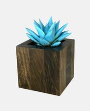 Load image into Gallery viewer, Succulent Planter by CW Furniture Choose Finish Wood Plant Box Geometric Cube Small Indoor Pot Catus Cacti Handmade Solid Hardwood Poplar