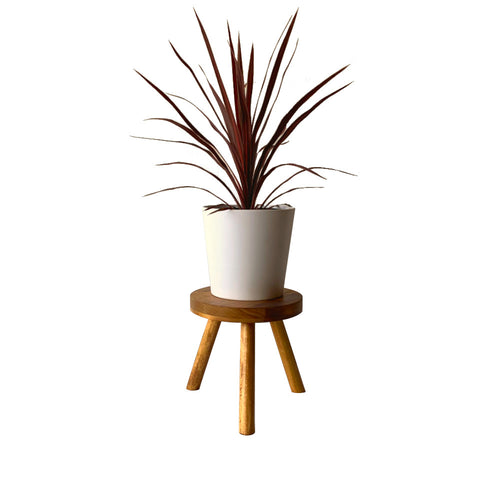Modern Plant Stand Three Leg Stool Choose Finish by CW Furniture Wood Indoor Flower Pot Base Display Holder Solid Wooden Kids Chair Table Minimalist
